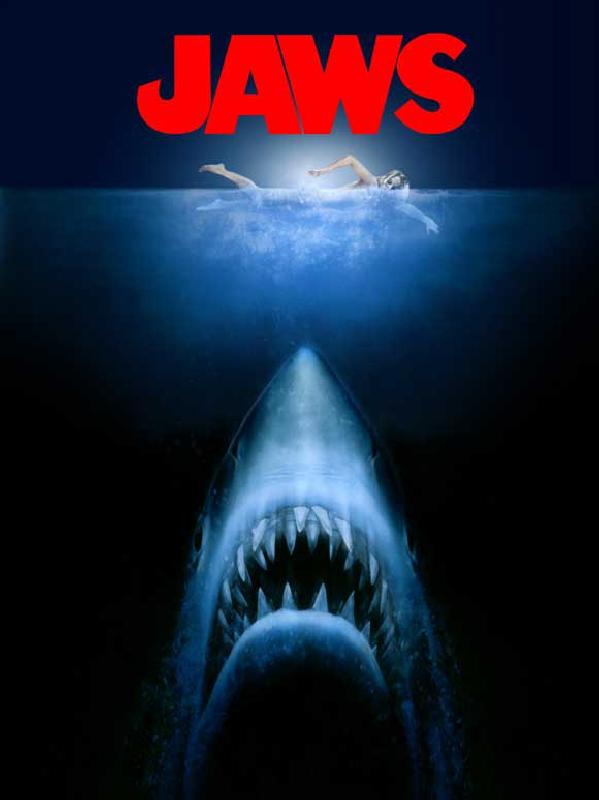« Jaws », le chef d’œuvre de Steven Spielberg. Un film culte qui depuis 50 ans donne une image faussée des requins.
