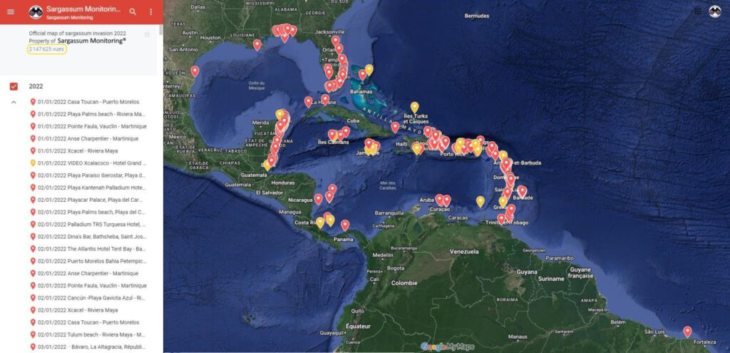 Zones touchées en 2023 par les Sargasses en Caraïbe