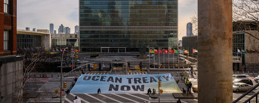 Des militants de Greenpeace réclament un traité à la hauteur en marge des négociation à l’ONU 
©ED JONES/AFP