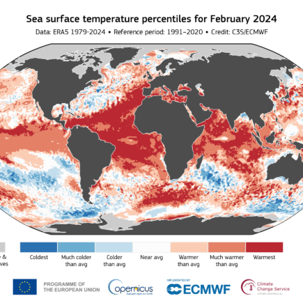 L'océan en surchauffe, une catastrophe annoncée ?