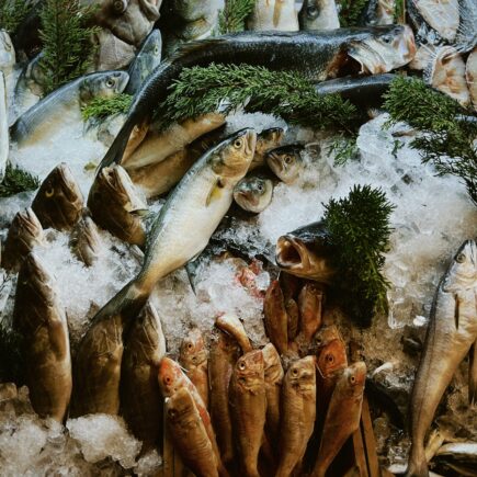Des poissons contaminés sur l'étal d'un poissonnier